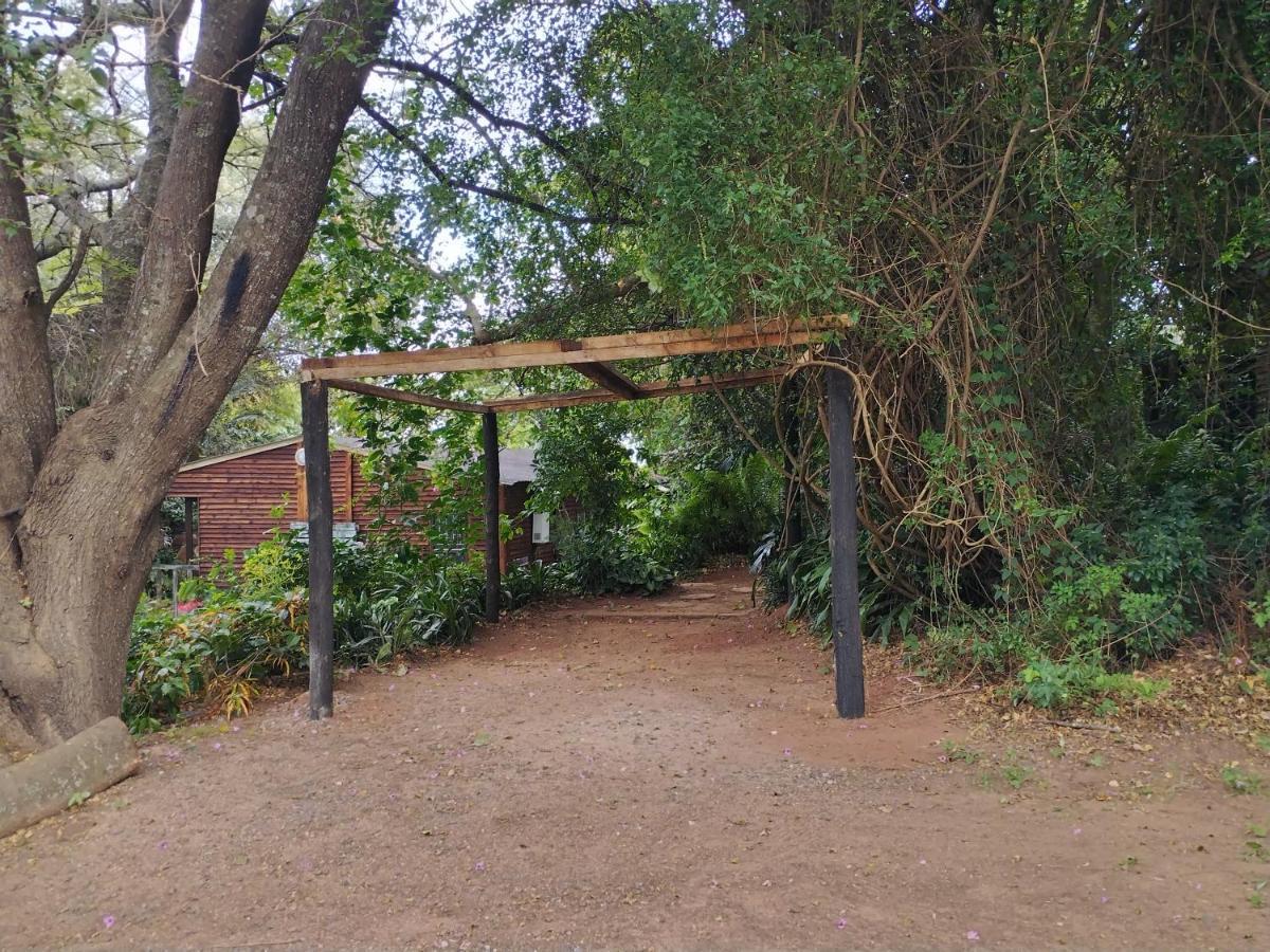 Beach Wood Cottages Shelly Beach Exterior photo