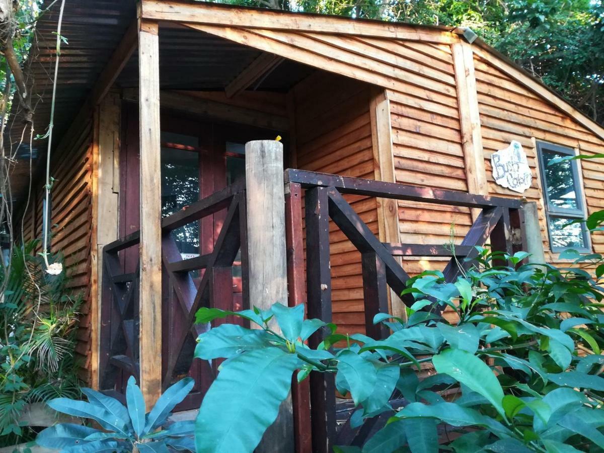 Beach Wood Cottages Shelly Beach Exterior photo